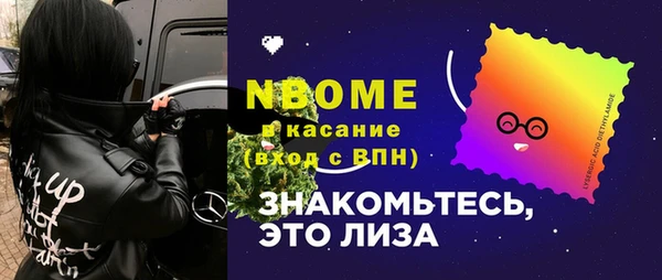 мдпв Карпинск