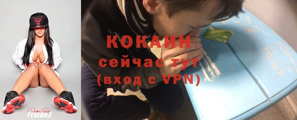 мдпв Карпинск