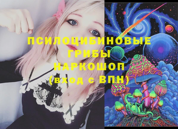 мдпв Карпинск