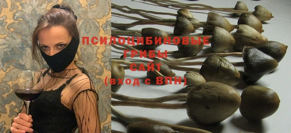 соль ск Карталы