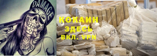 мдпв Карпинск