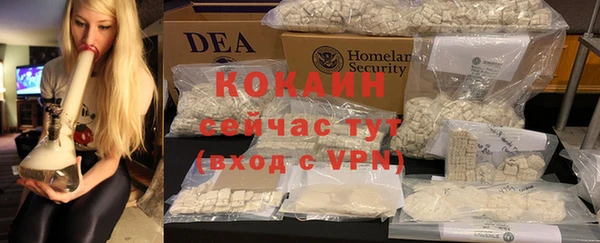 мдпв Карпинск