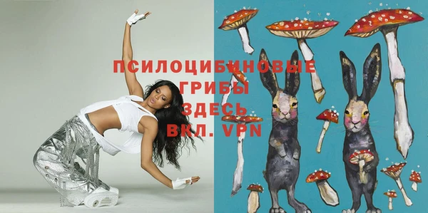 соль ск Карталы