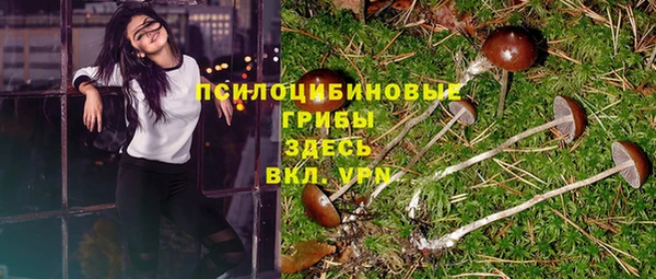 мдпв Карпинск