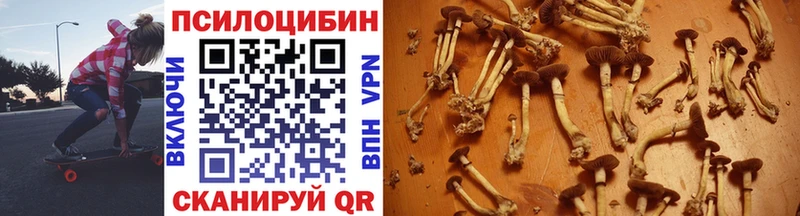 Купить  Лаишево  Галлюциногенные грибы MAGIC MUSHROOMS 